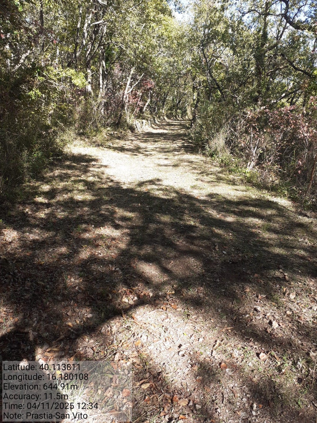 Galleria Fotografica Immagine