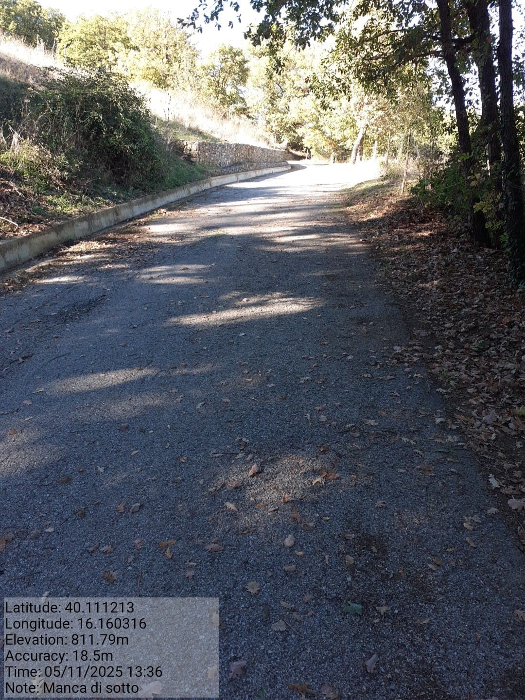 Galleria Fotografica Immagine