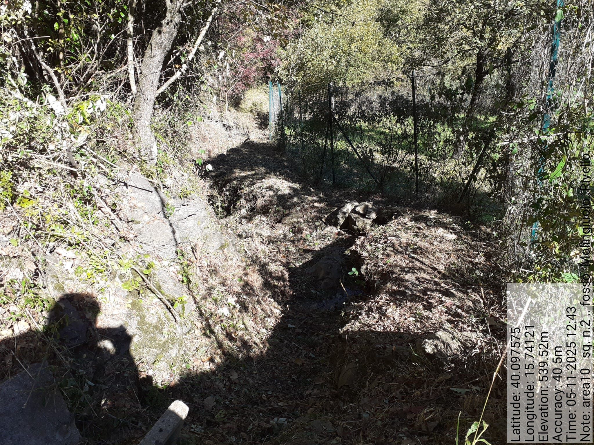 Galleria Fotografica Immagine