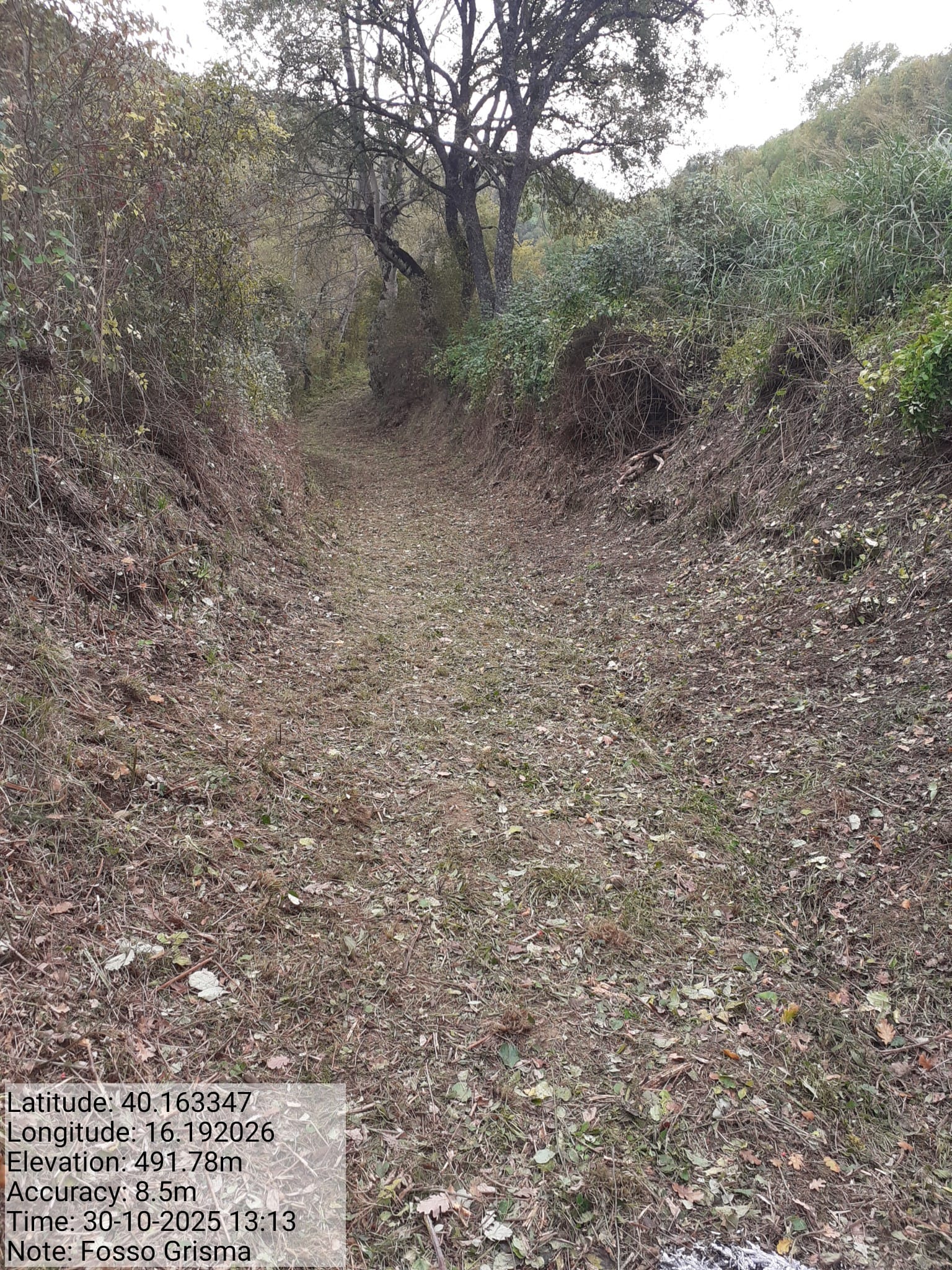 Galleria Fotografica Immagine