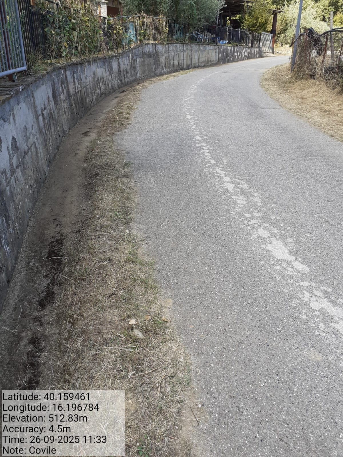 Galleria Fotografica Immagine