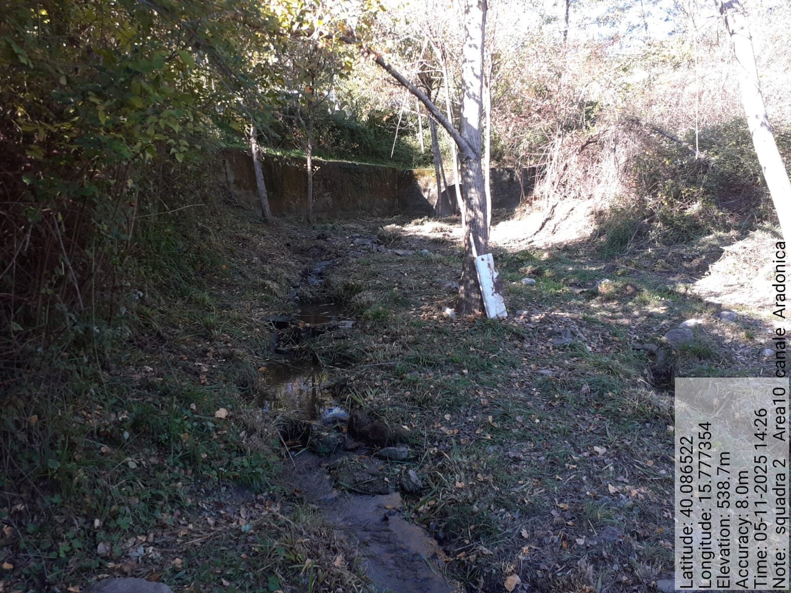 Galleria Fotografica Immagine