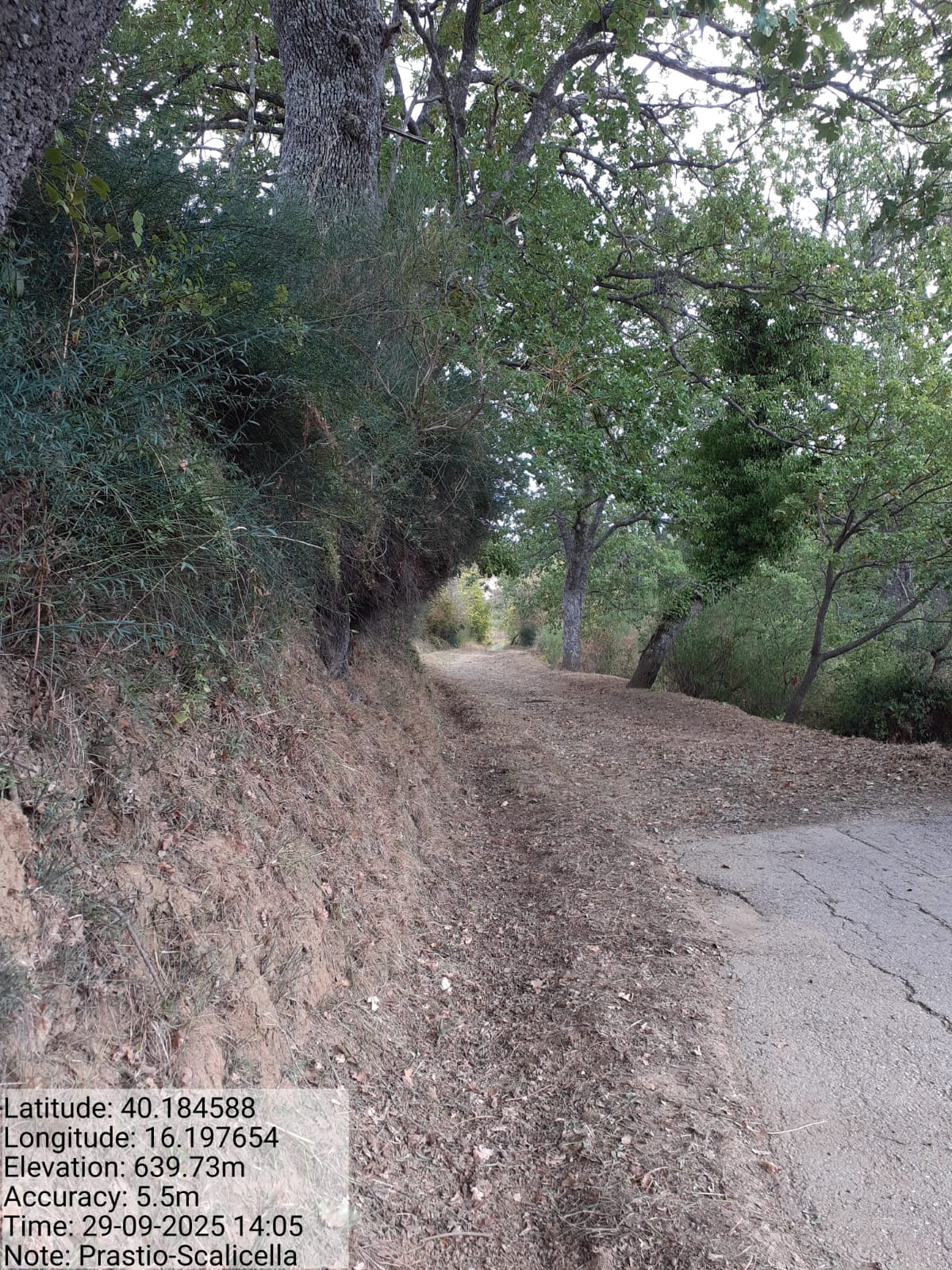 Galleria Fotografica Immagine