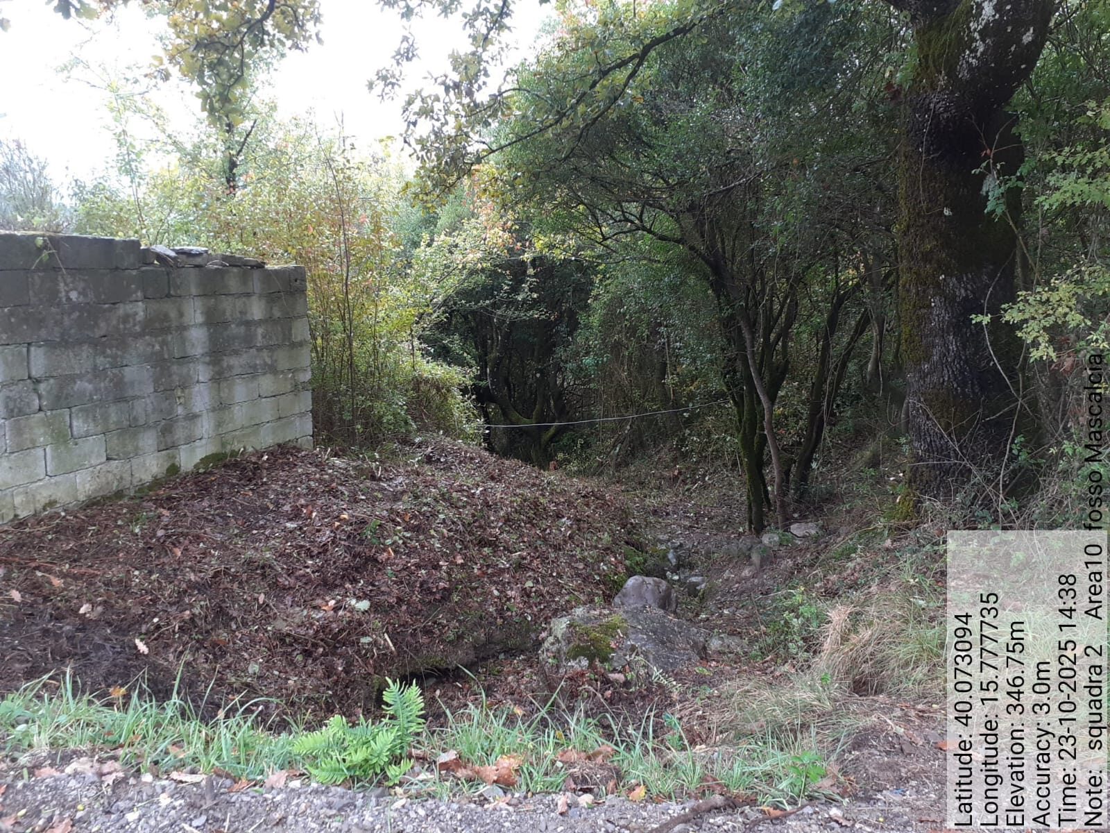 Galleria Fotografica Immagine