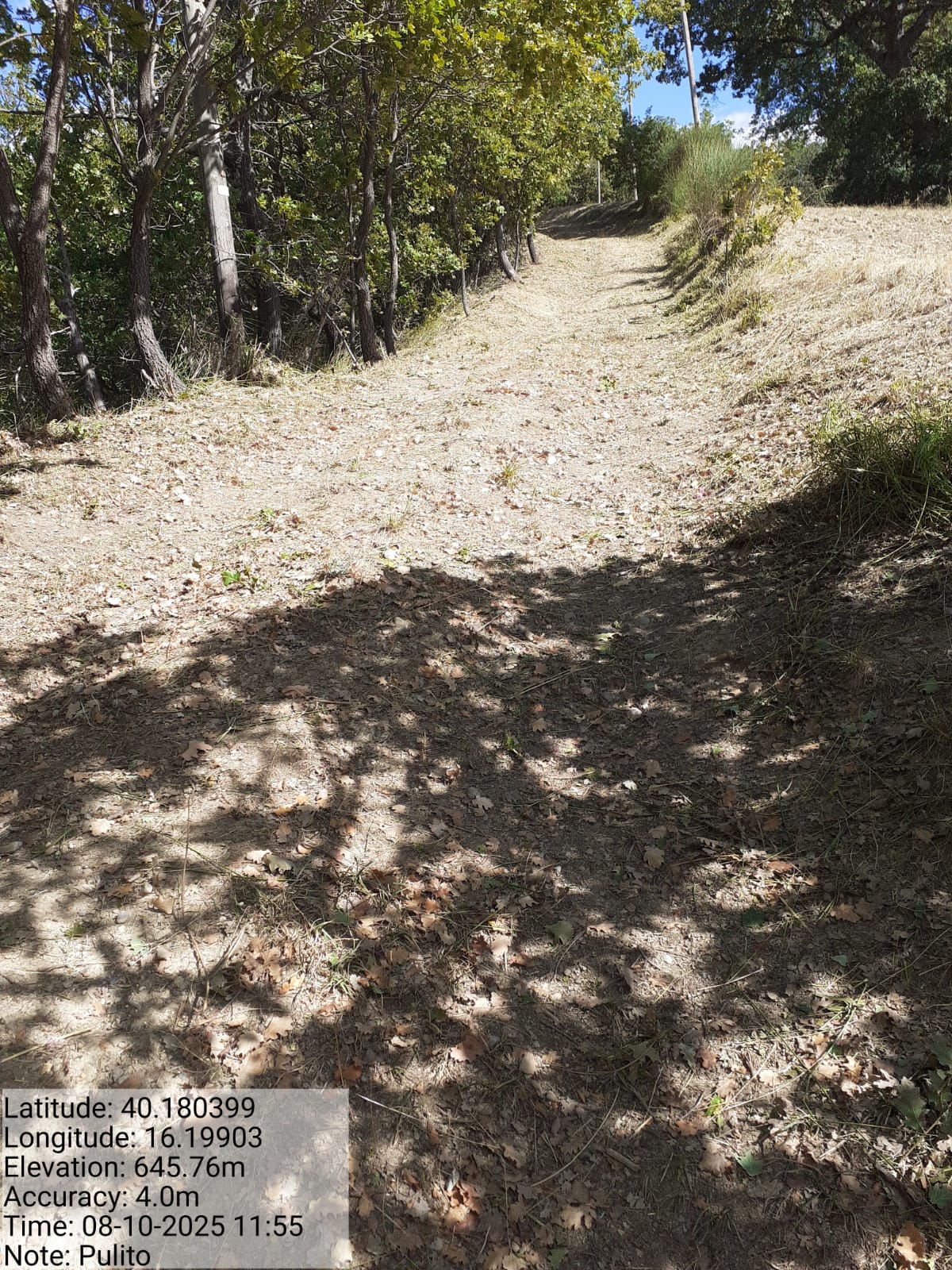 Galleria Fotografica Immagine