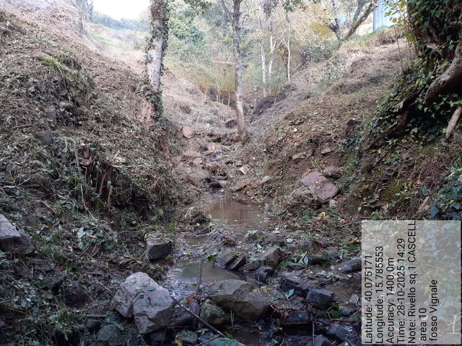 Galleria Fotografica Immagine