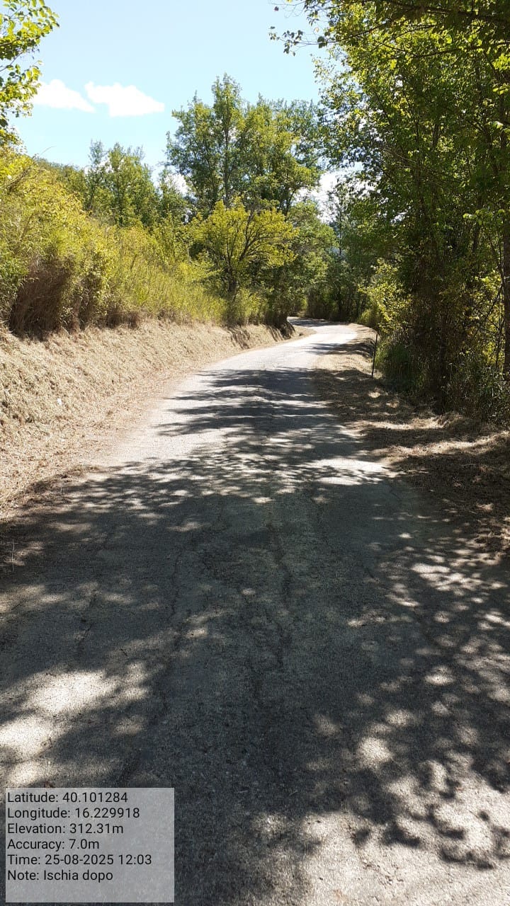 Galleria Fotografica Immagine