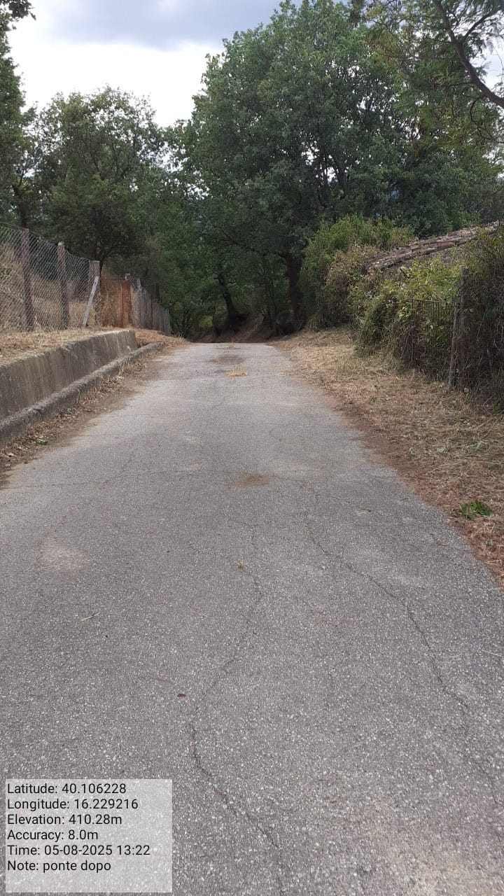 Galleria Fotografica Immagine