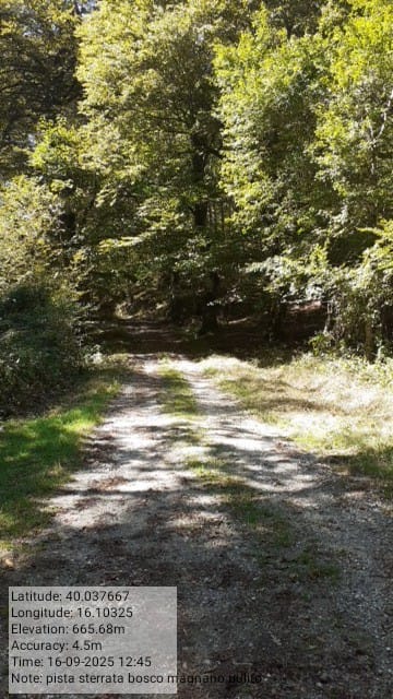 Galleria Fotografica Immagine