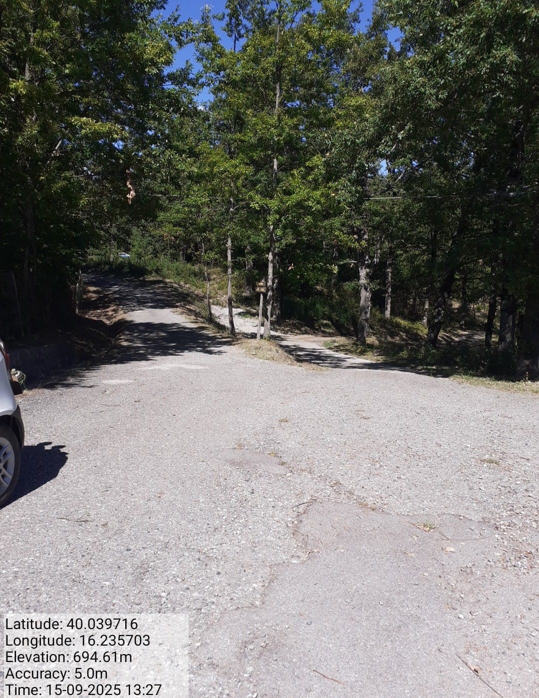 Galleria Fotografica Immagine