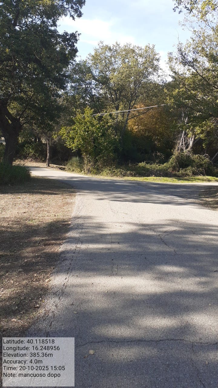 Galleria Fotografica Immagine