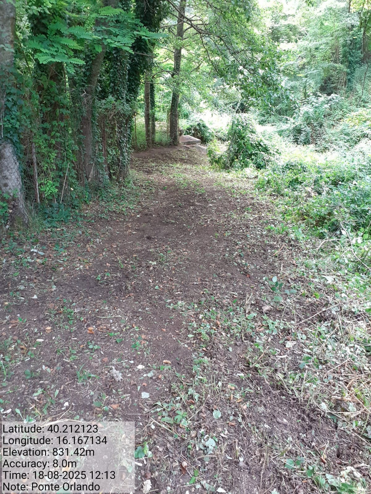 Galleria Fotografica Immagine