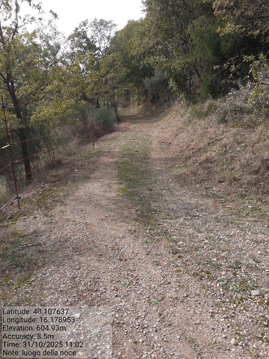 Galleria Fotografica Immagine