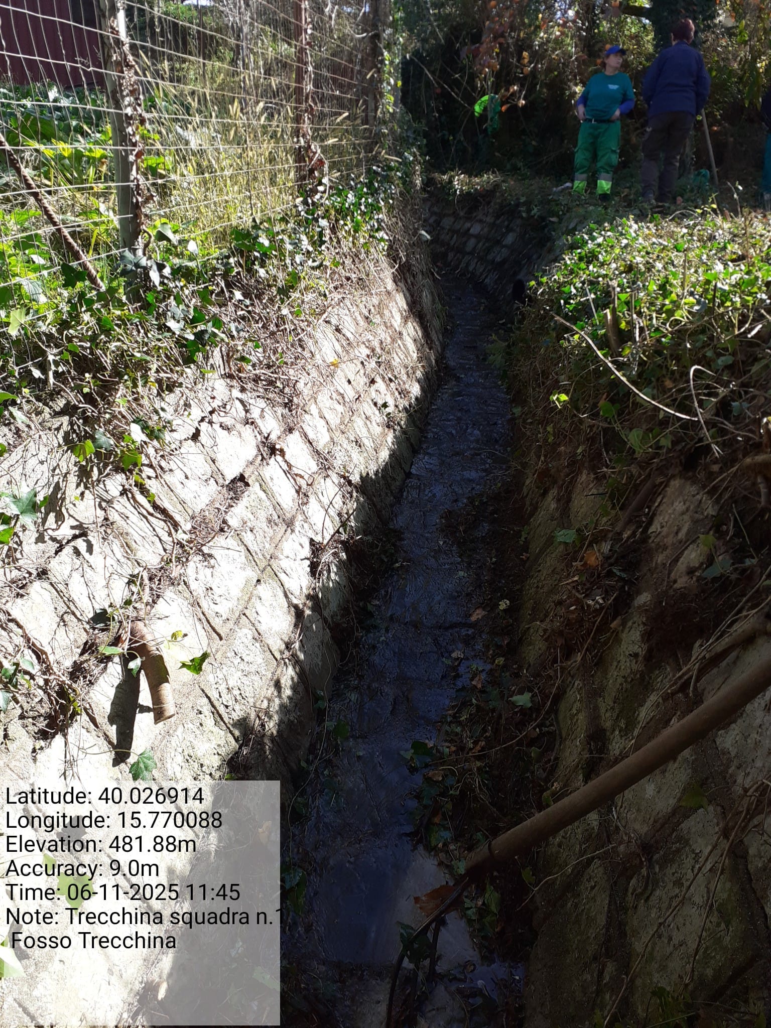 Galleria Fotografica Immagine