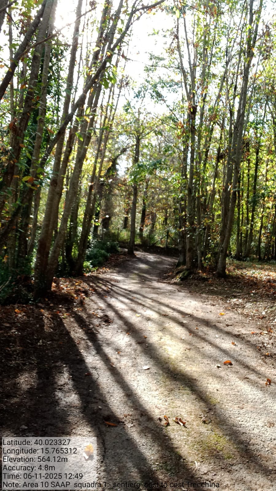 Galleria Fotografica Immagine