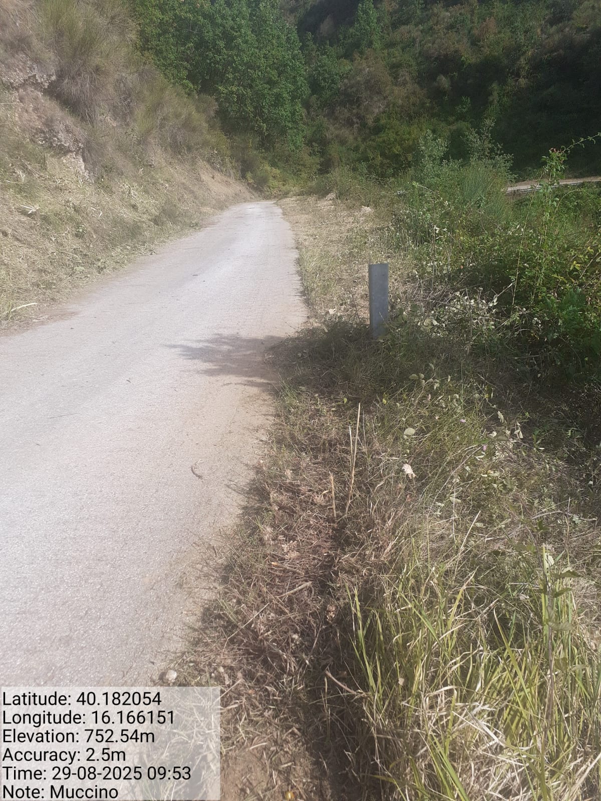 Galleria Fotografica Immagine