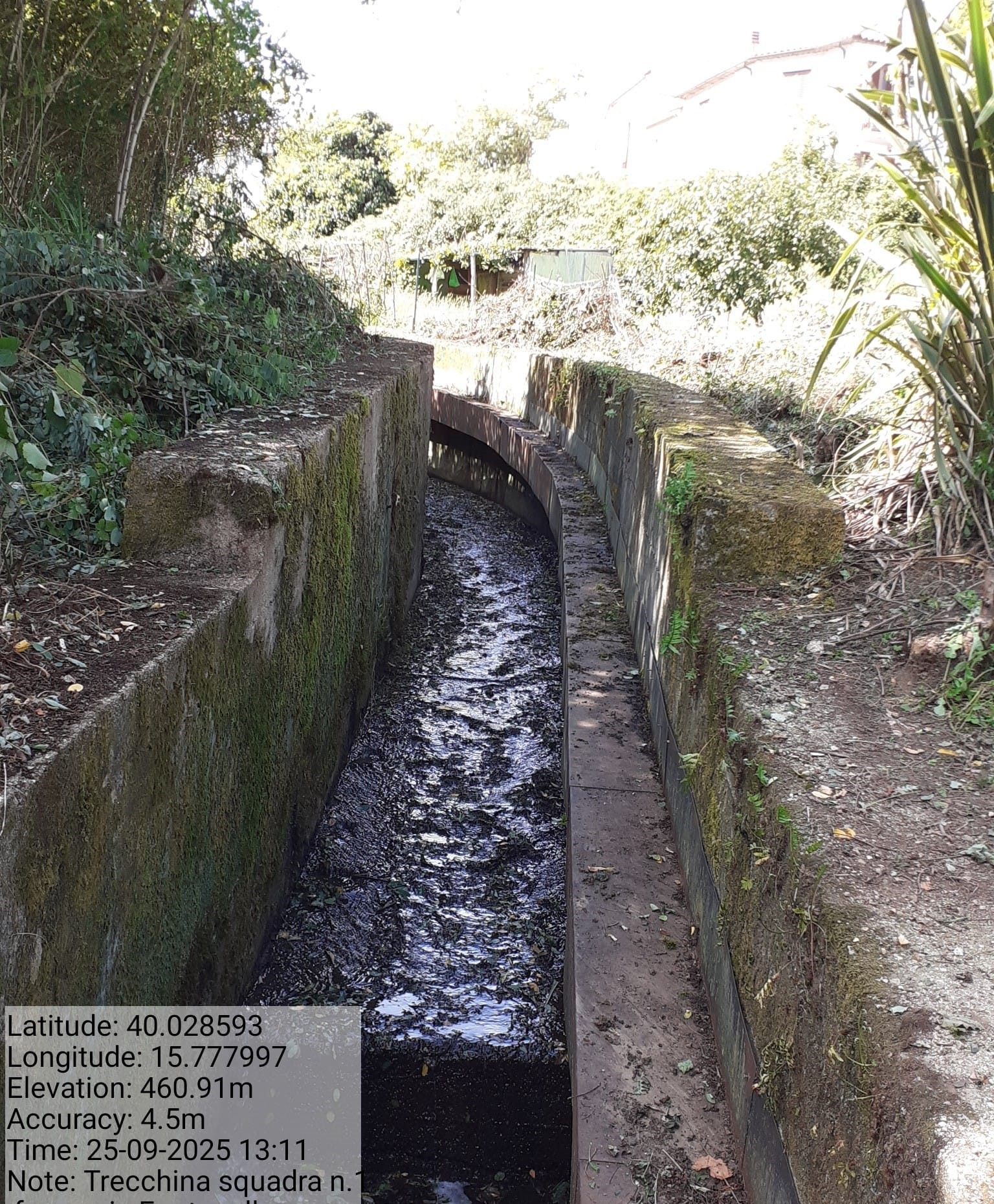 Galleria Fotografica Immagine