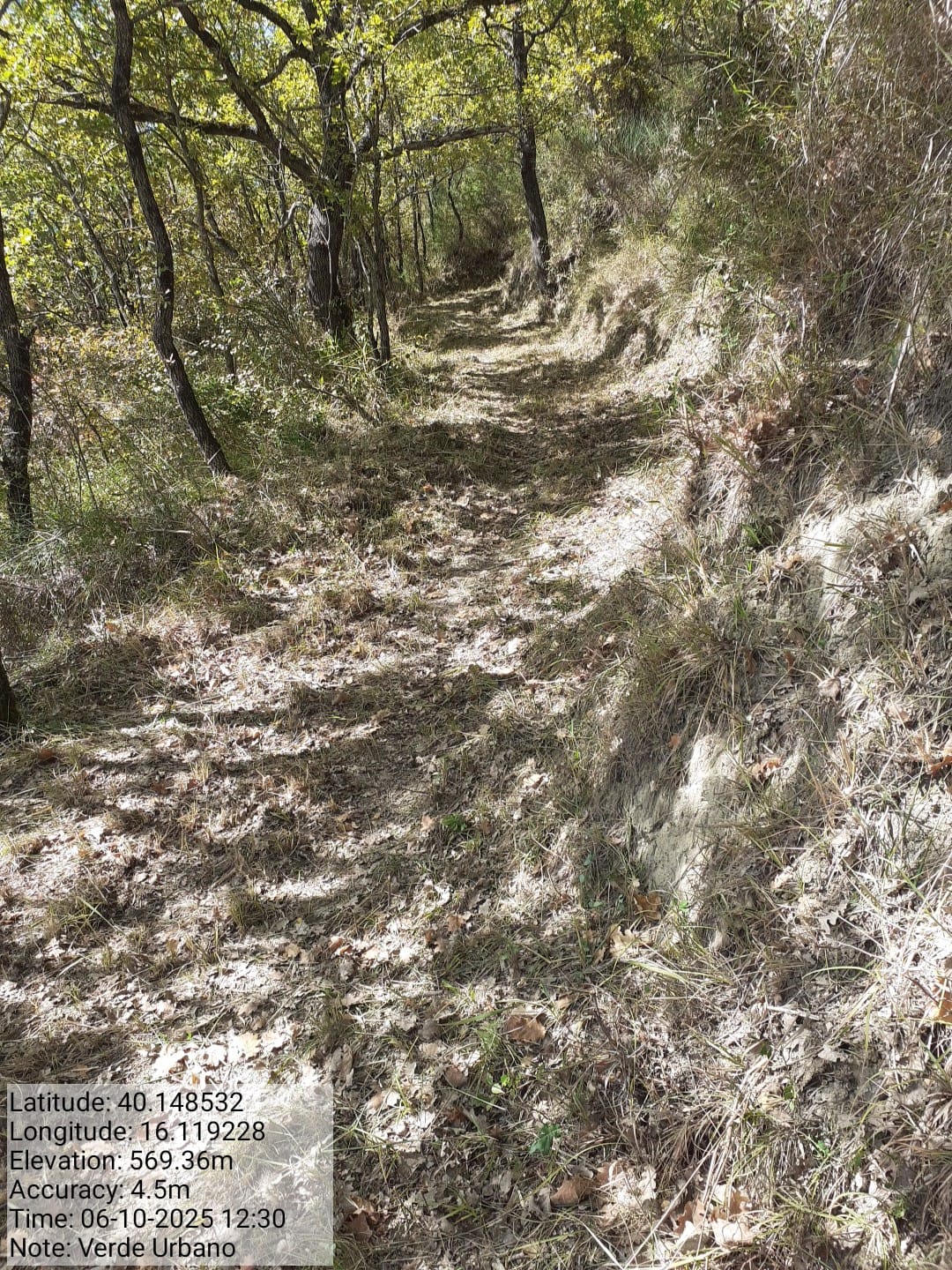 Galleria Fotografica Immagine