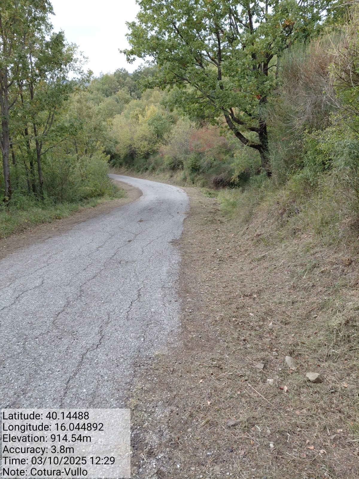 Galleria Fotografica Immagine