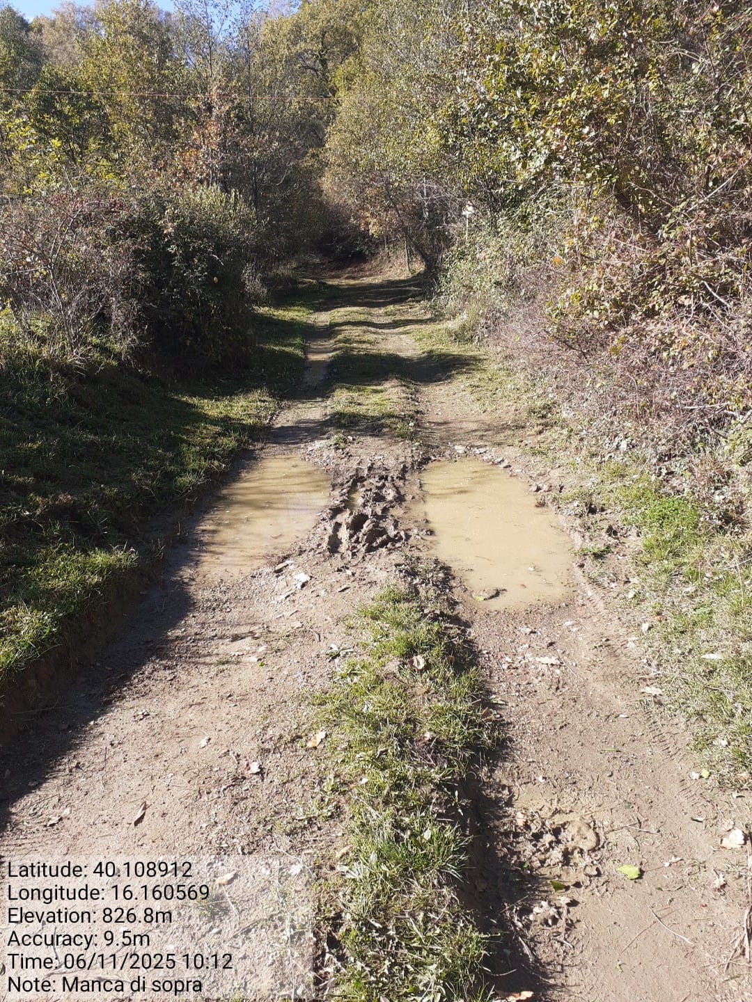 Galleria Fotografica Immagine