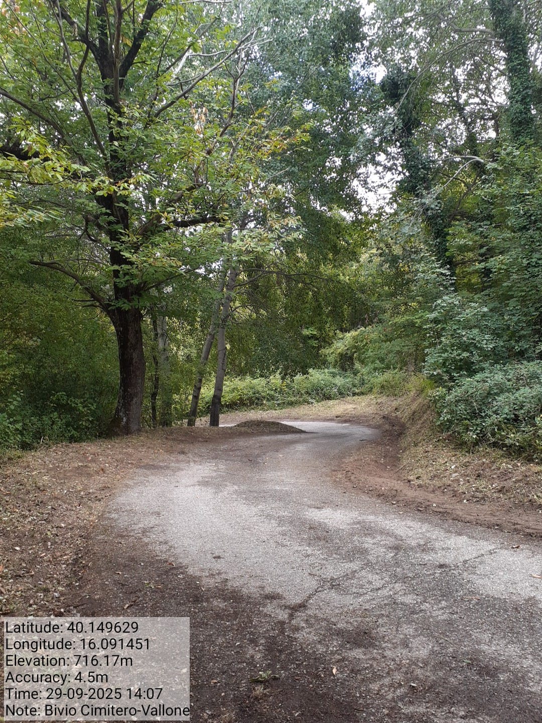 Galleria Fotografica Immagine