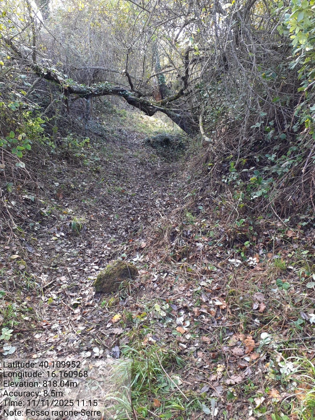 Galleria Fotografica Immagine