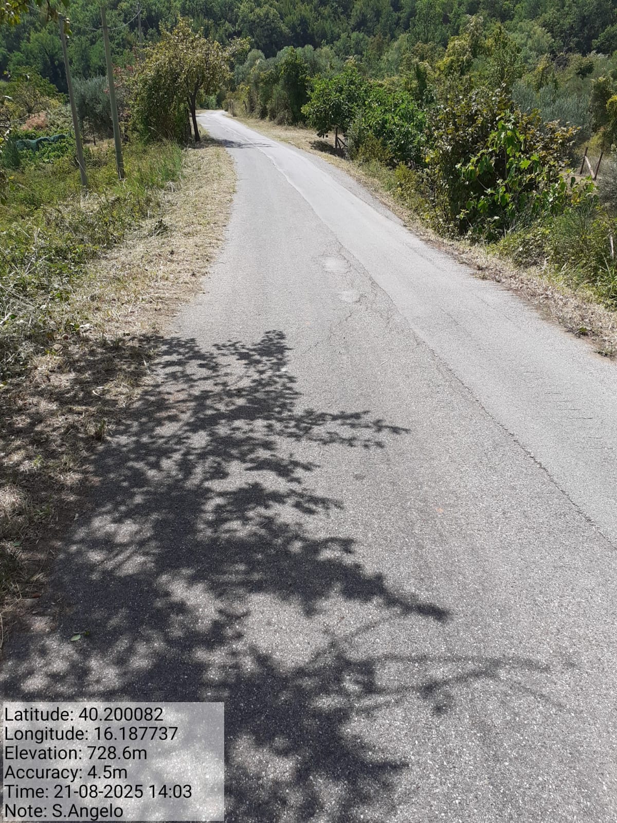 Galleria Fotografica Immagine