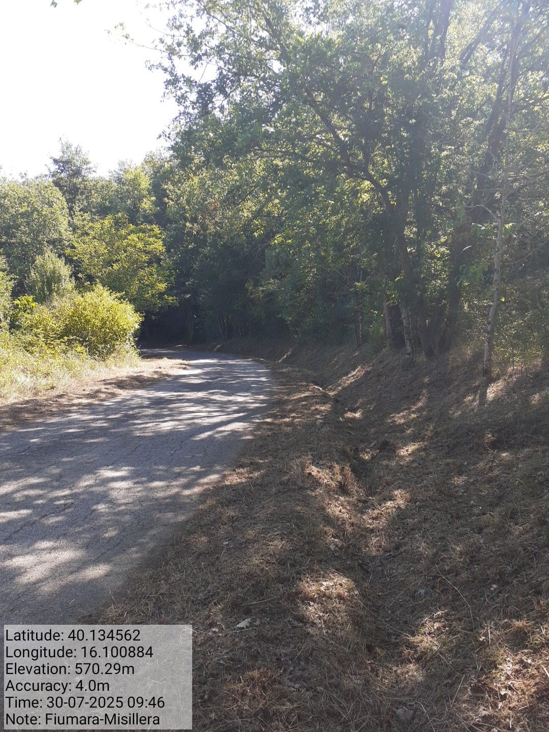 Galleria Fotografica Immagine