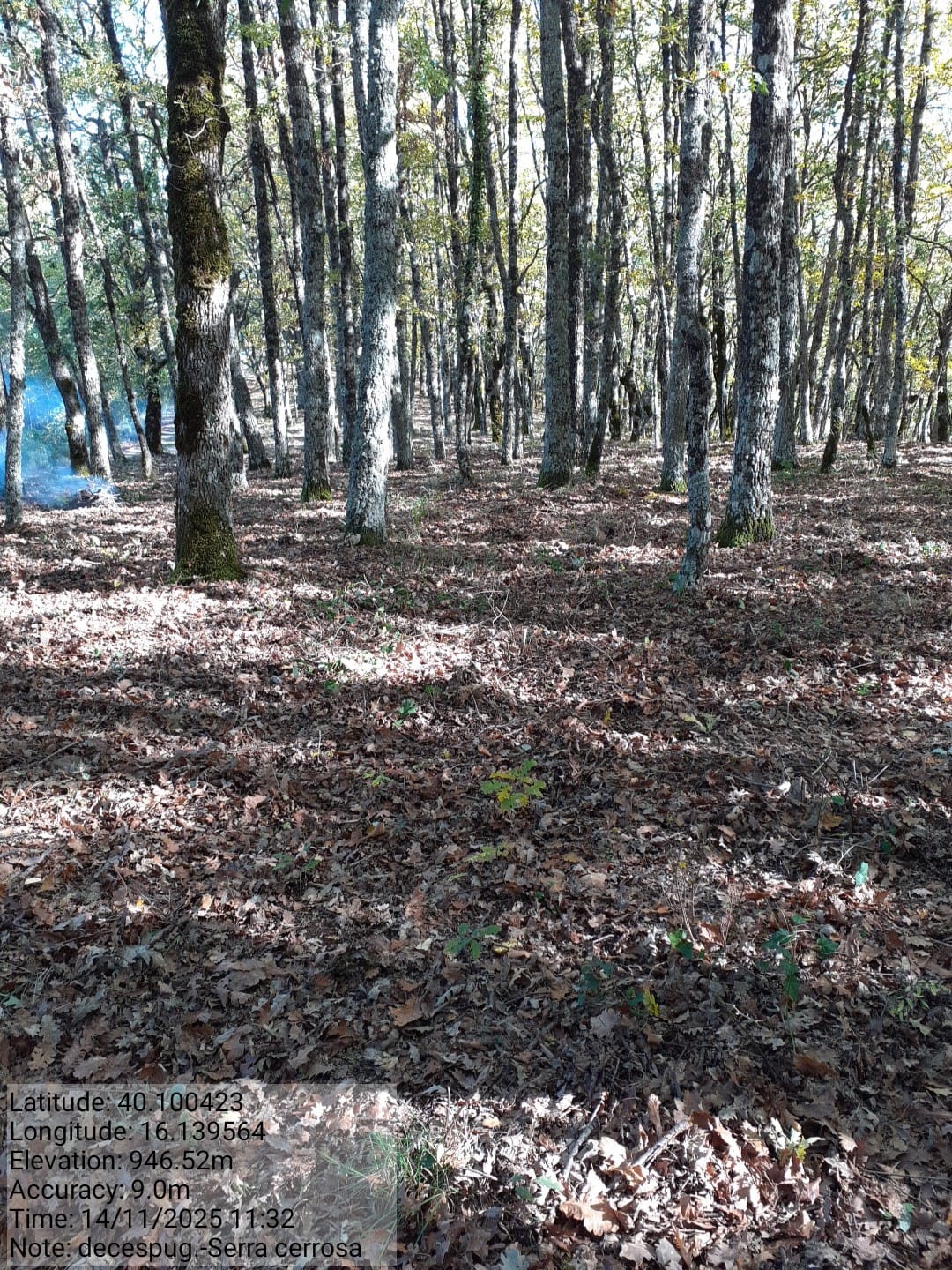 Galleria Fotografica Immagine