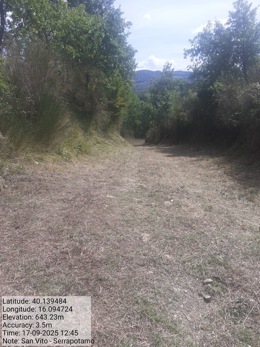 Galleria Fotografica Immagine