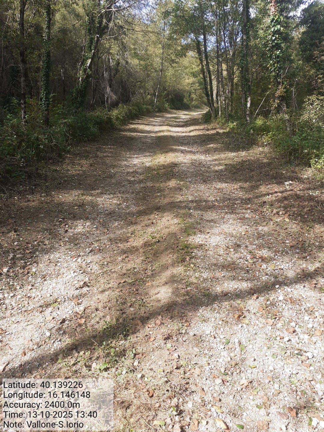 Galleria Fotografica Immagine