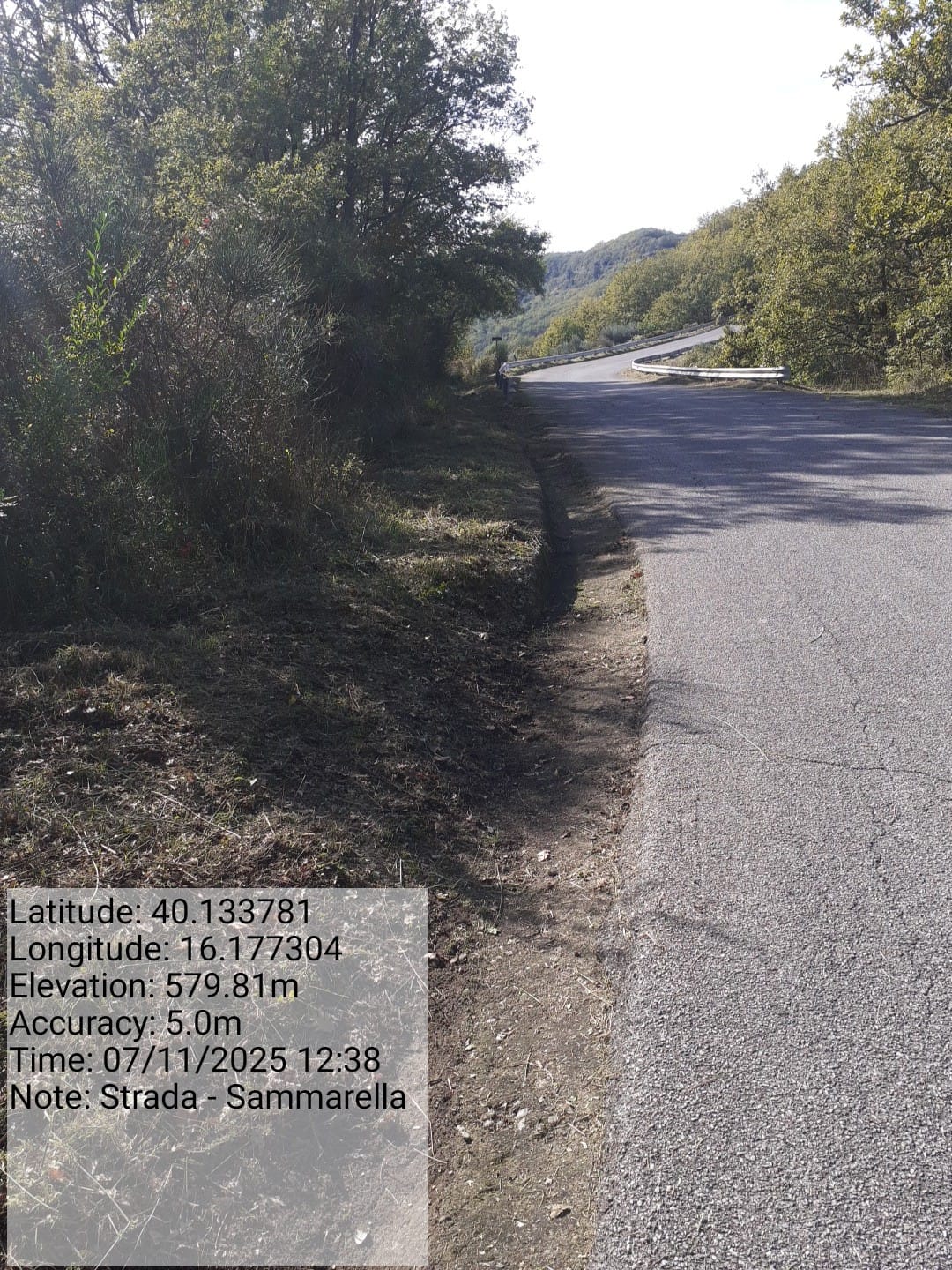 Galleria Fotografica Immagine