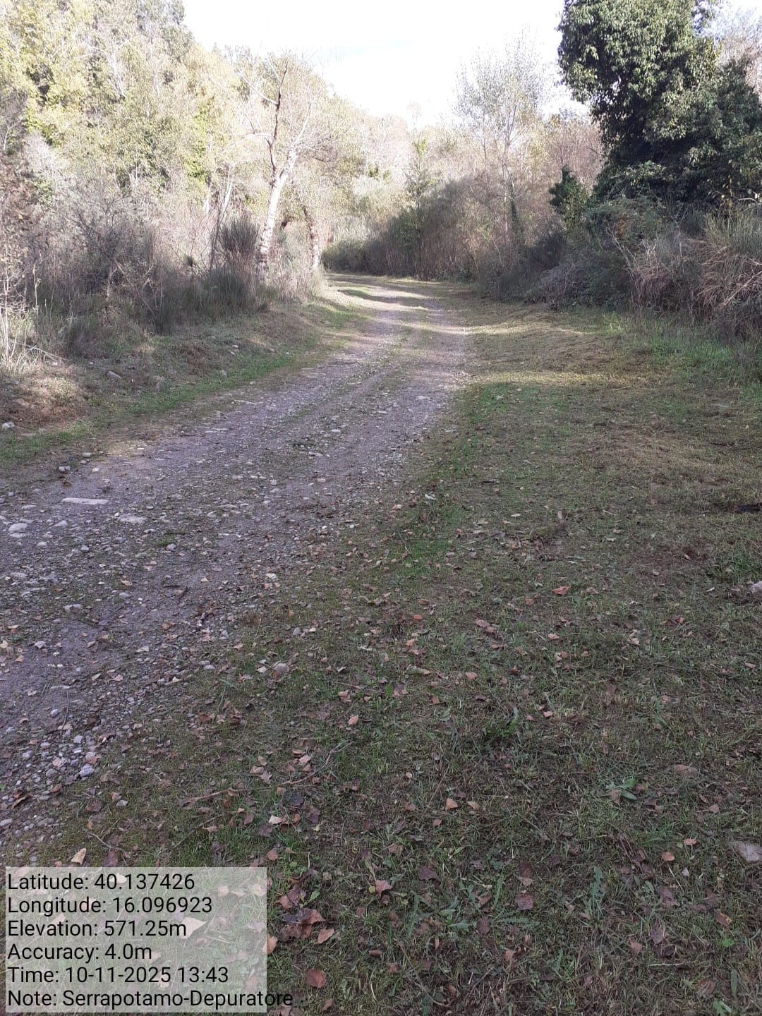 Galleria Fotografica Immagine