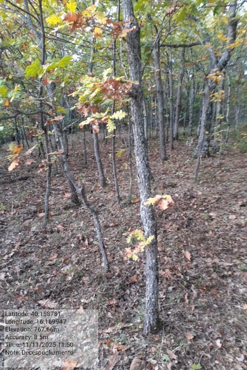 Galleria Fotografica Immagine