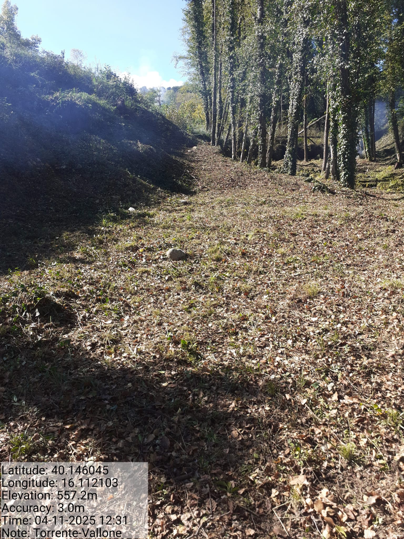 Galleria Fotografica Immagine