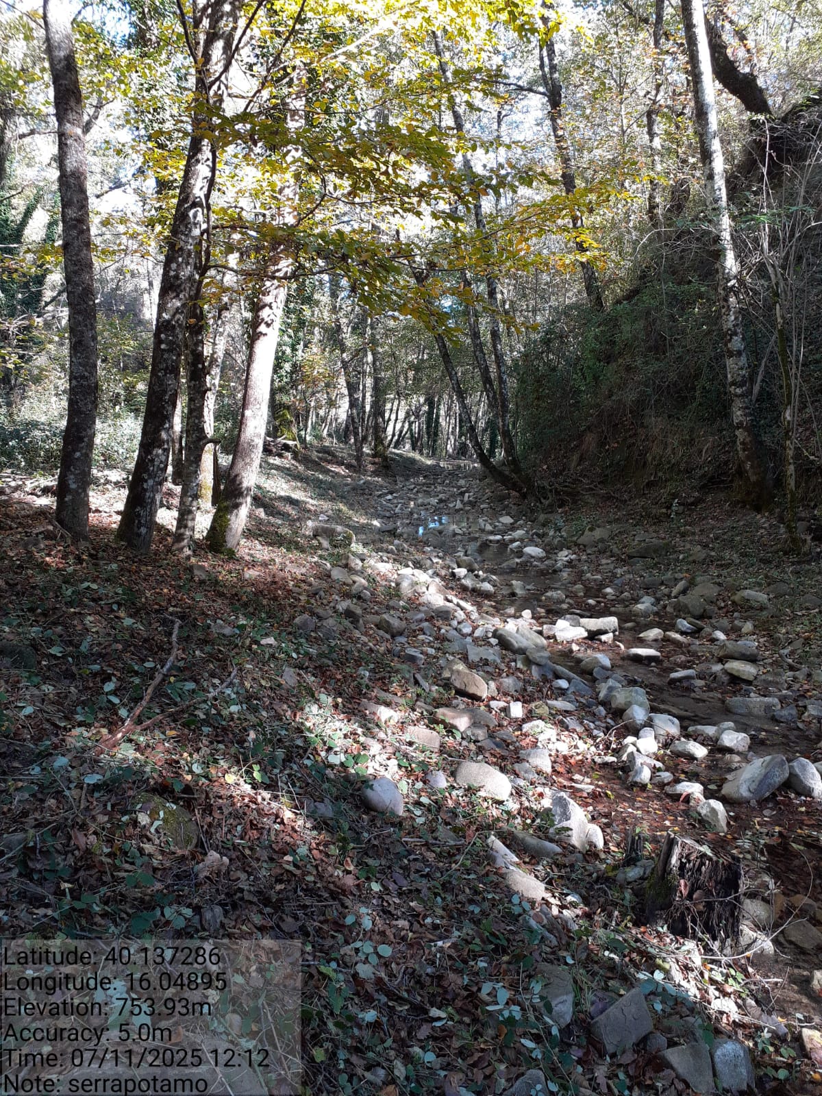 Galleria Fotografica Immagine