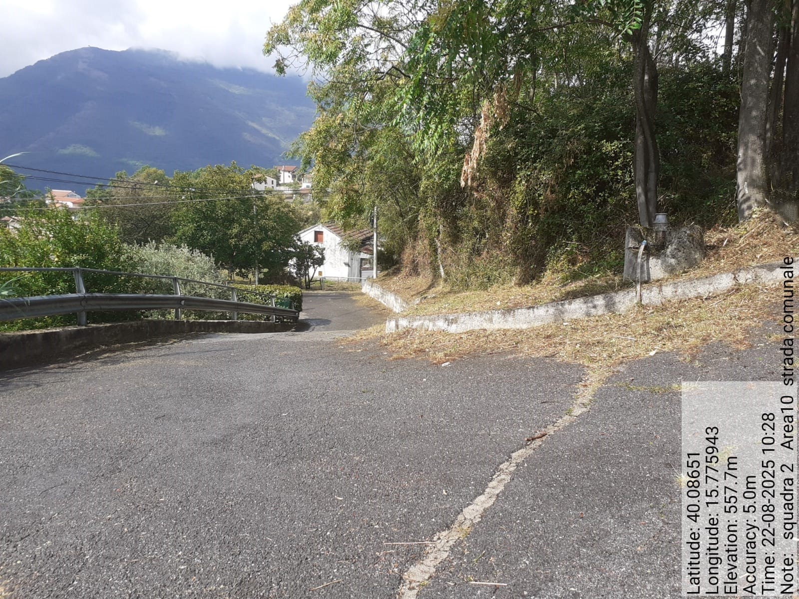 Galleria Fotografica Immagine