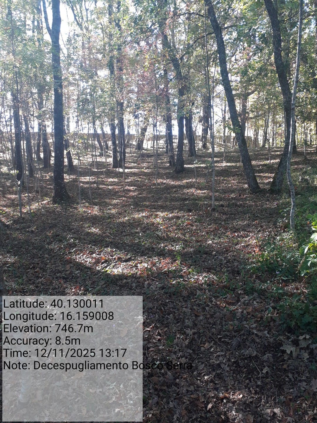 Galleria Fotografica Immagine