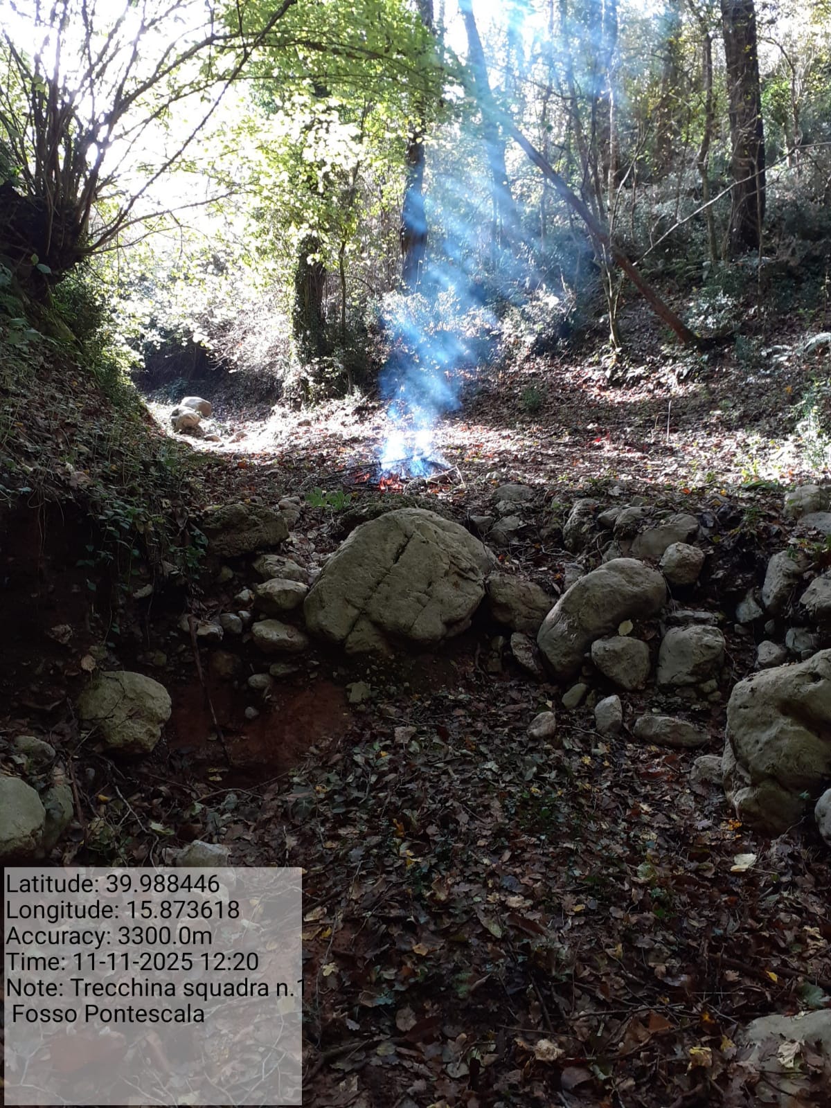 Galleria Fotografica Immagine