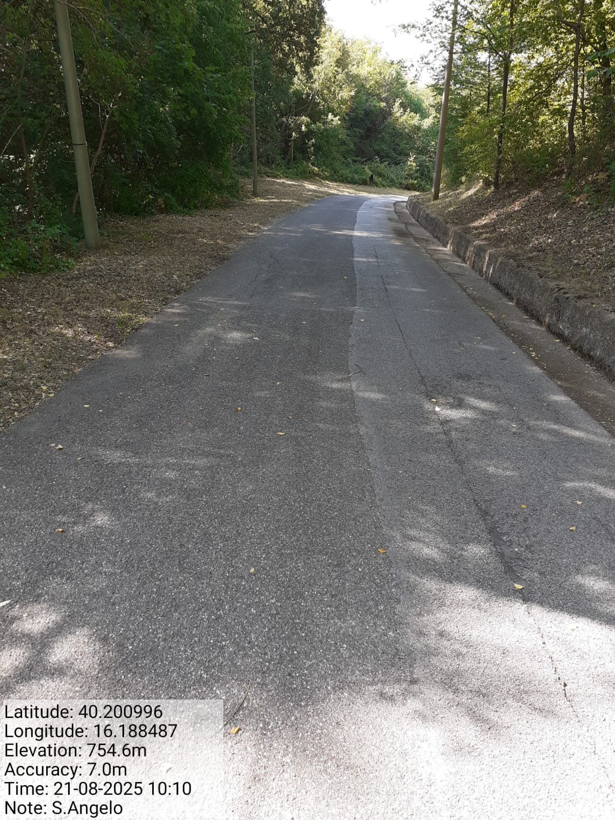 Galleria Fotografica Immagine