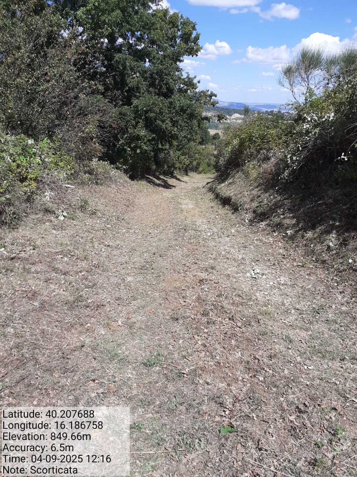 Galleria Fotografica Immagine