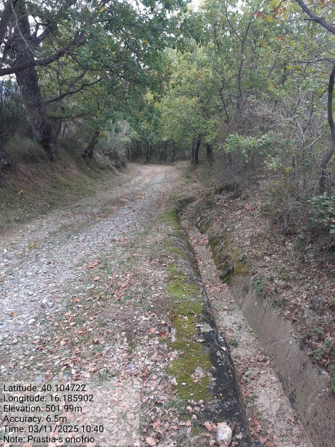 Galleria Fotografica Immagine