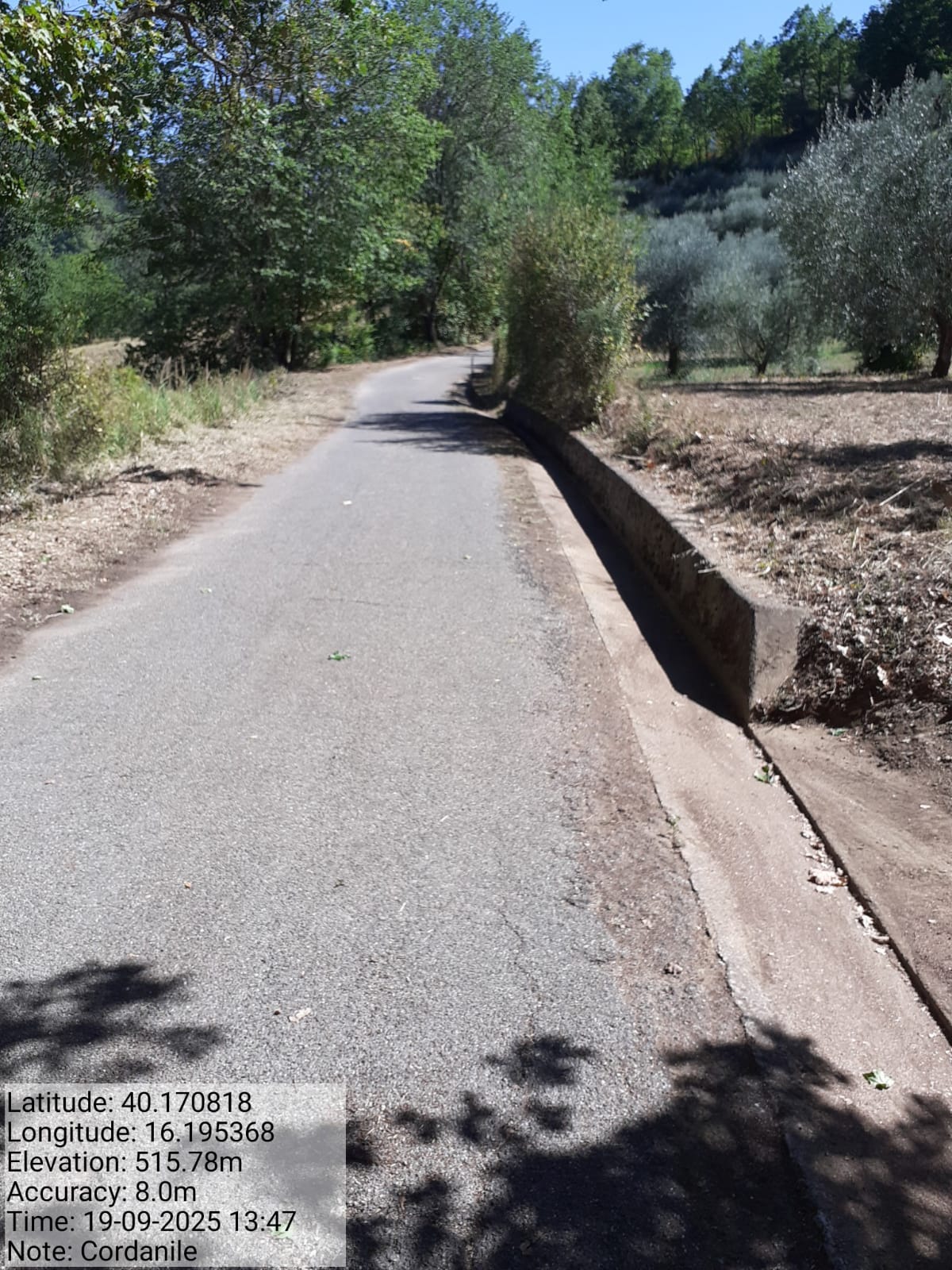 Galleria Fotografica Immagine