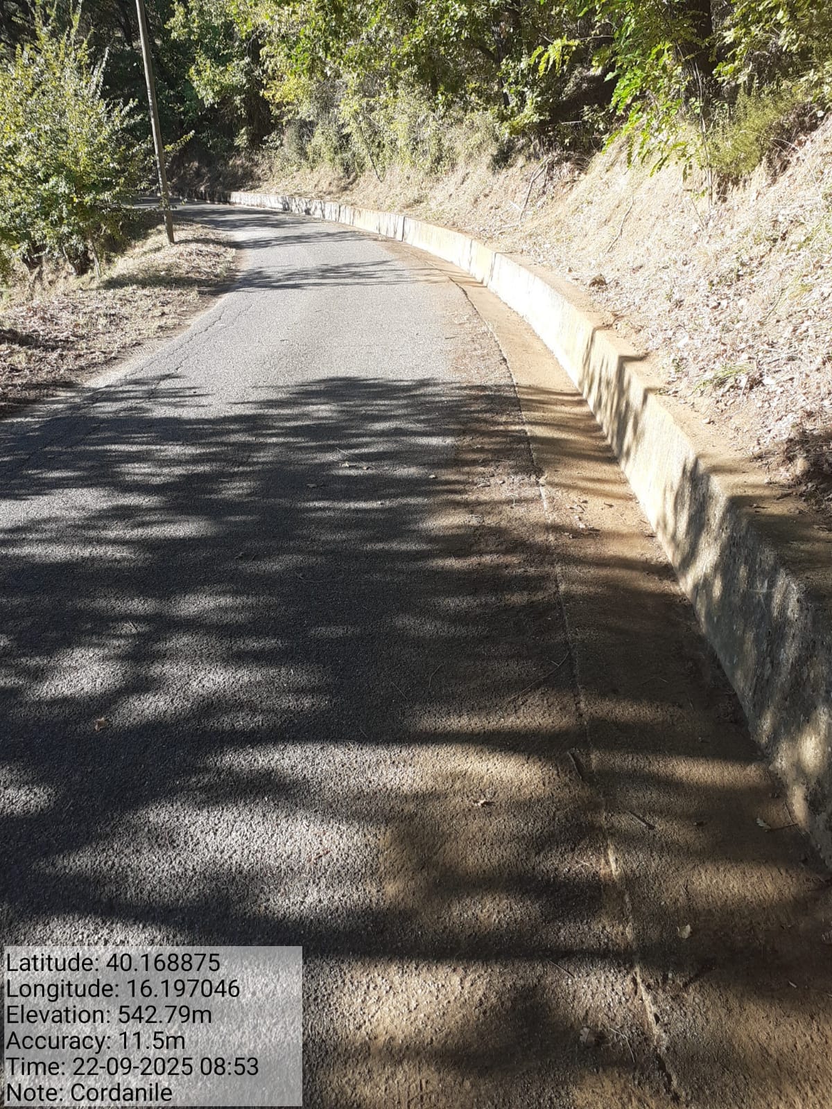 Galleria Fotografica Immagine