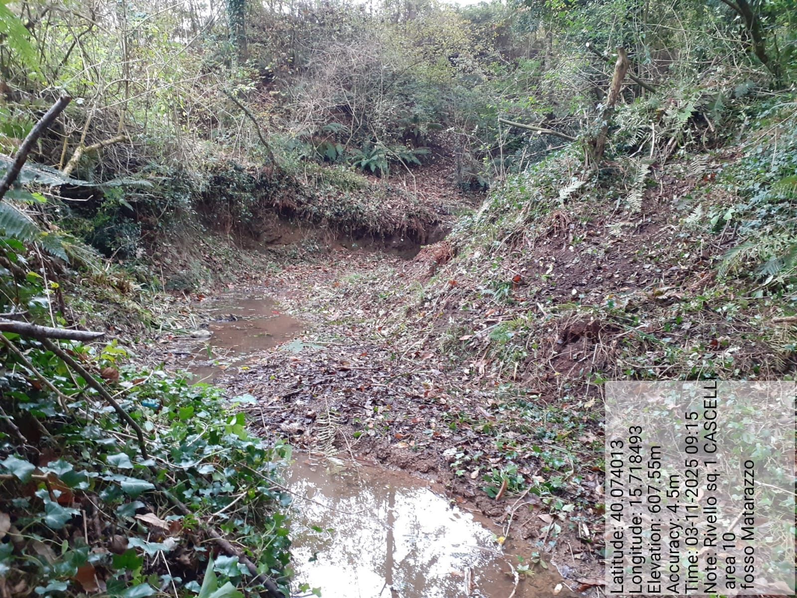 Galleria Fotografica Immagine