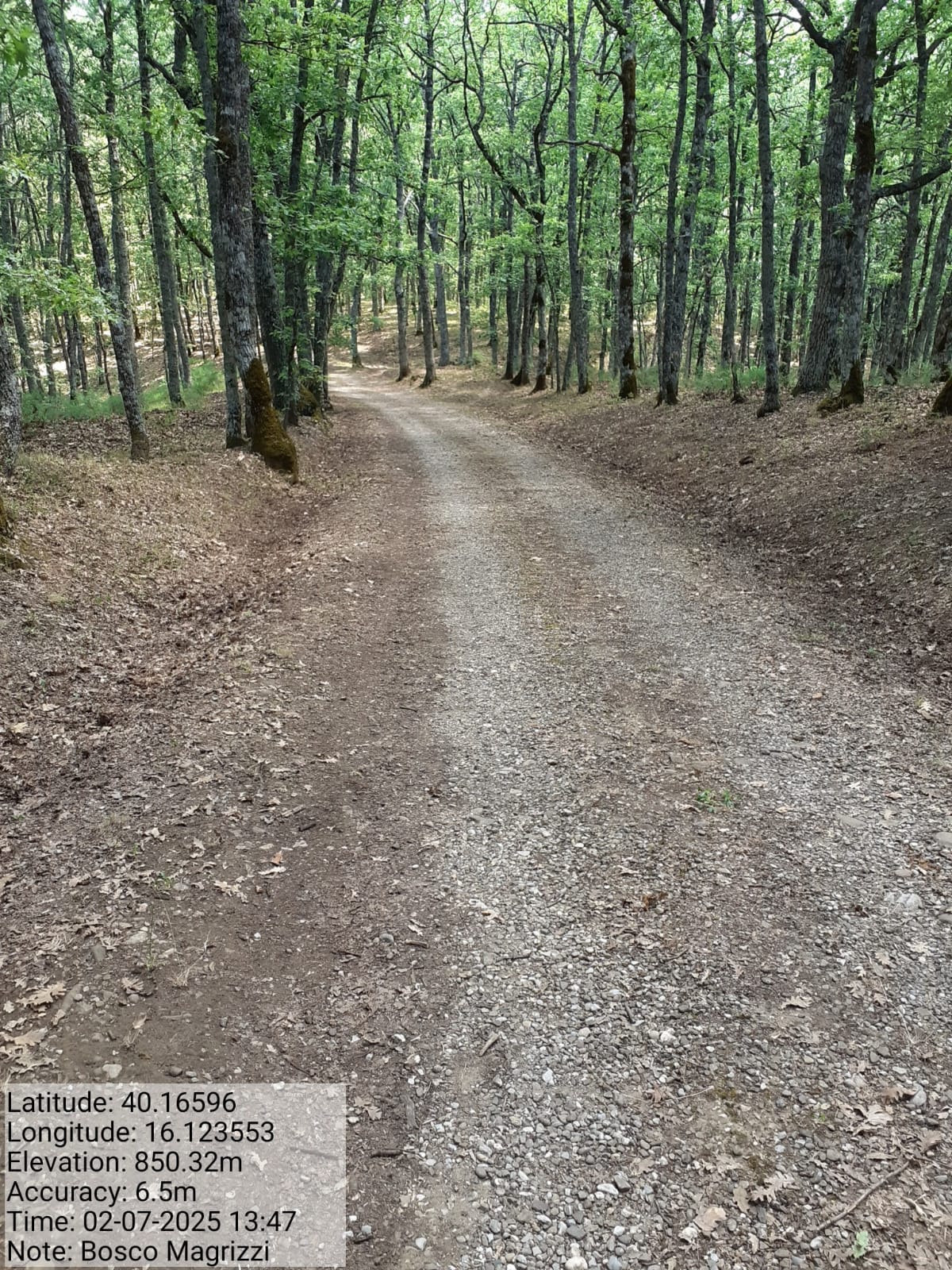 Galleria Fotografica Immagine