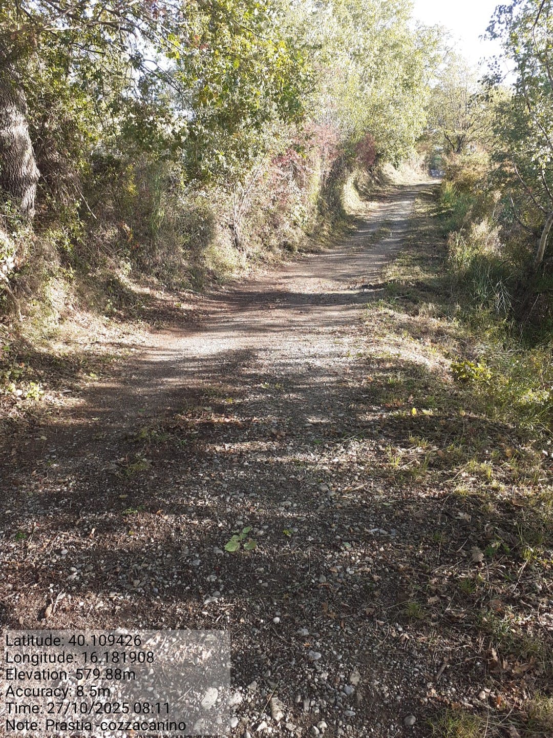 Galleria Fotografica Immagine