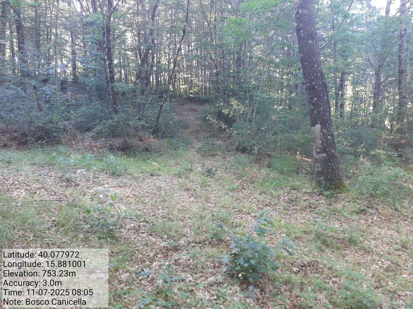 Galleria Fotografica Immagine