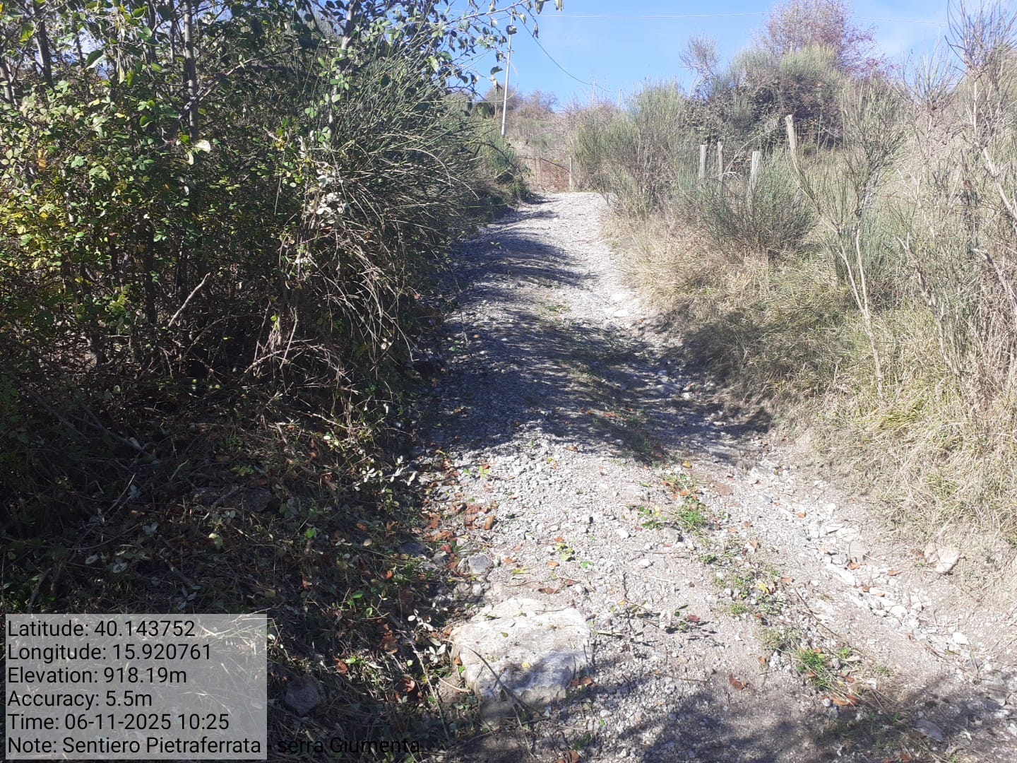 Galleria Fotografica Immagine