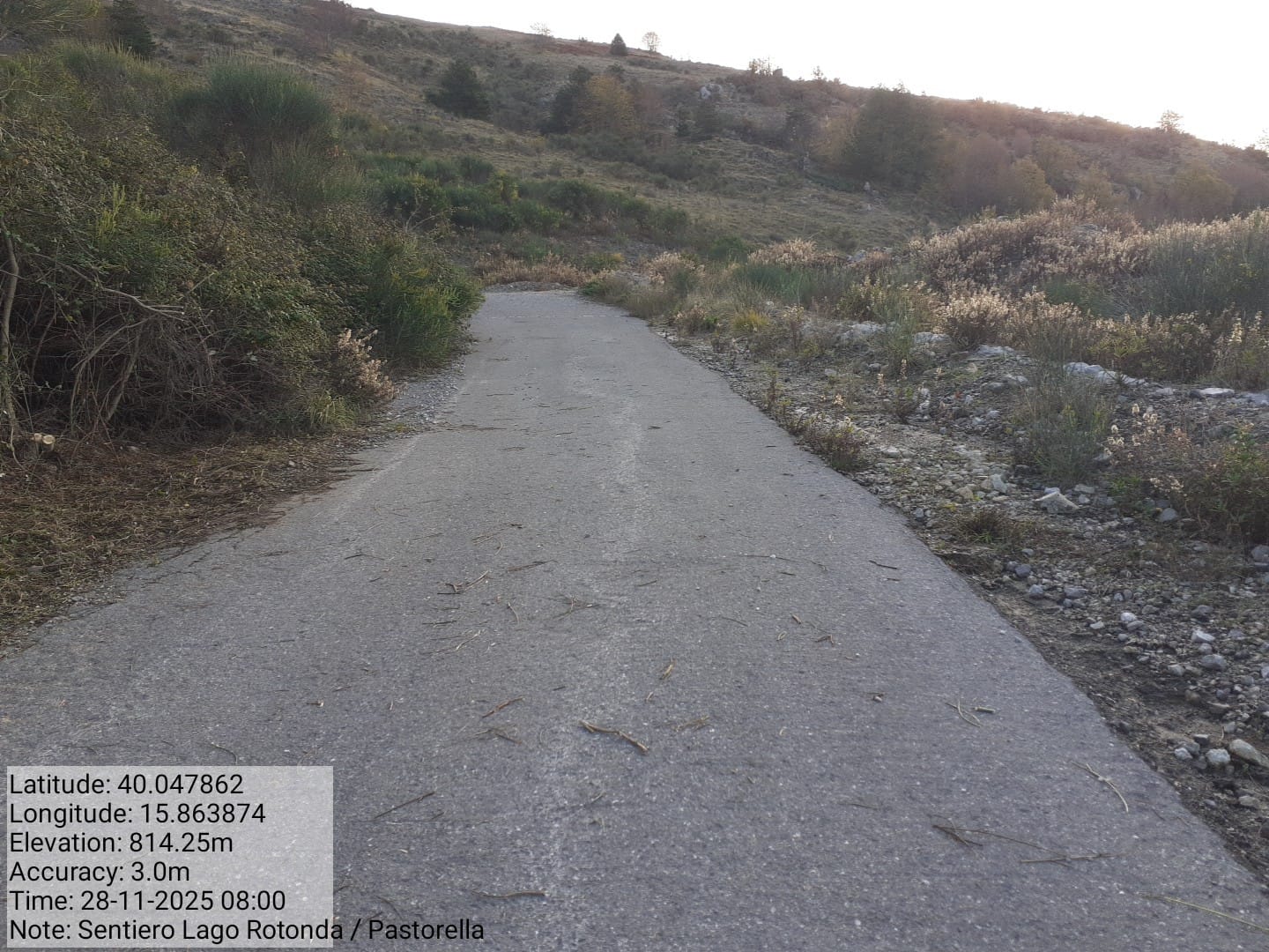 Galleria Fotografica Immagine